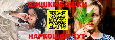 индика Обь