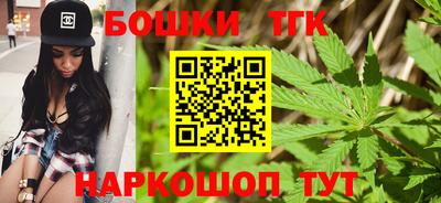 индика Обь