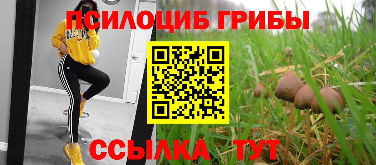 Псилоцибиновые грибы Cubensis Тула